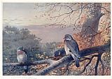 Wood Canvas Paintings - Wood Pigeons in Beech Tree